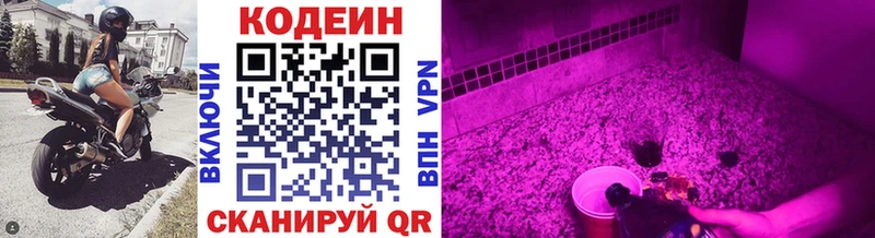 Купить где  Касимов  Кодеин Purple Drank 