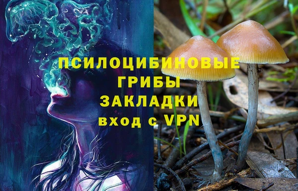 альфа пвп Каменка