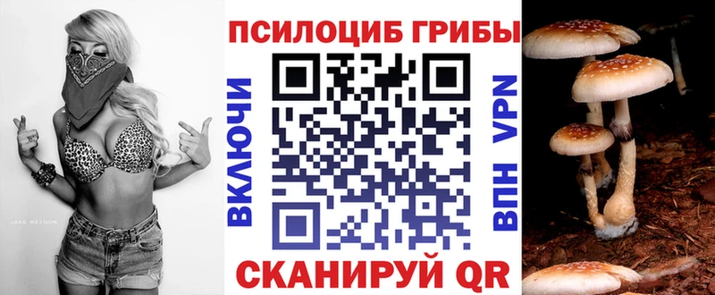 Купить  Касимов  Галлюциногенные грибы GOLDEN TEACHER 
